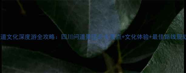 图片 问道文化深度游全攻略：四川问道景区必去景点+文化体验+最佳路线规划1