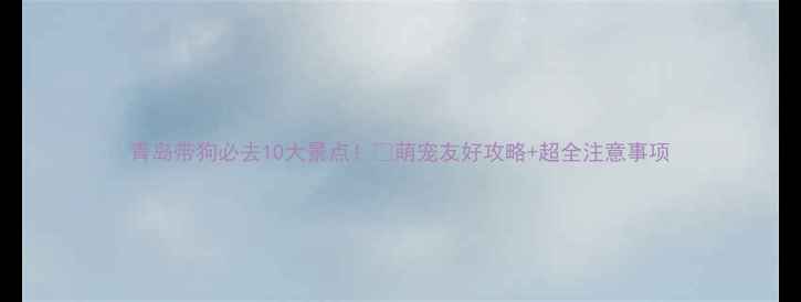 图片 青岛带狗必去10大景点！🐾萌宠友好攻略+超全注意事项