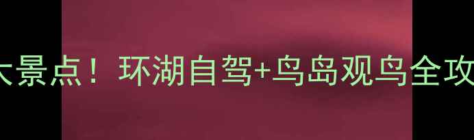 图片 青海湖夏季避暑必去5大景点！环湖自驾+鸟岛观鸟全攻略（附免费交通攻略）