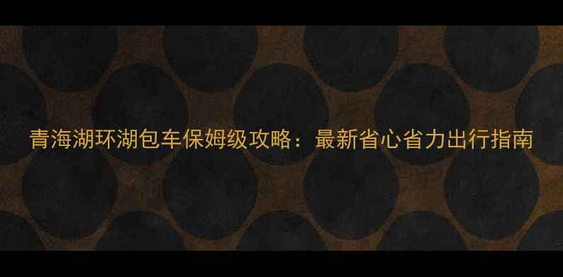 图片 青海湖环湖包车保姆级攻略：最新省心省力出行指南