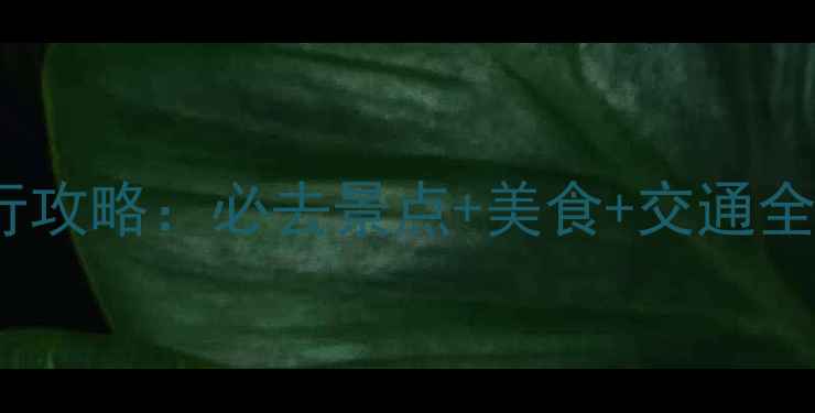 图片 香港2天1夜自由行攻略：必去景点+美食+交通全攻略（保姆级）1