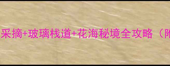 图片 香草园必玩TOP10：亲子采摘+玻璃栈道+花海秘境全攻略（附门票优惠+交通指南）2