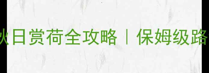 图片 🌊安徽巢湖夏日避暑+秋日赏荷全攻略｜保姆级路线+隐藏玩法大公开！1