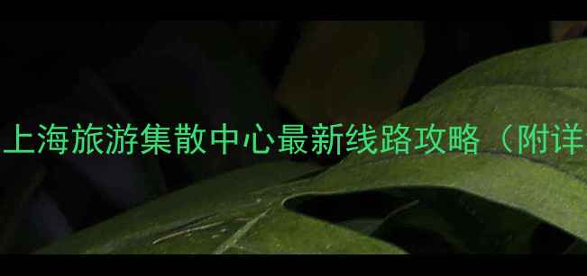 图片 🌟上海一日游天花板！上海旅游集散中心最新线路攻略（附详细地图+省钱技巧）🌟2