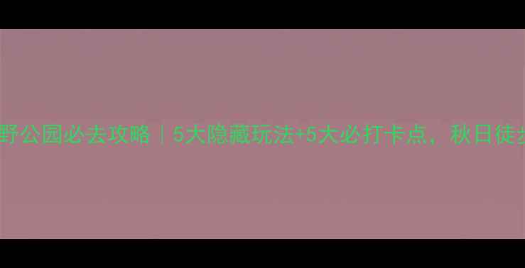 图片 🌟上海青西郊野公园必去攻略｜5大隐藏玩法+5大必打卡点，秋日徒步露营全指南2