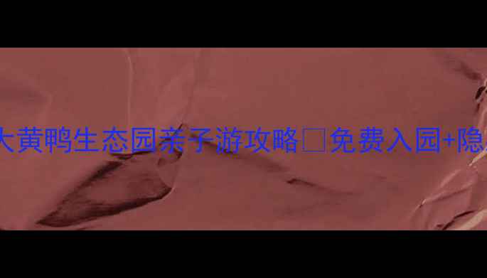 图片 🌟丹东必打卡！大黄鸭生态园亲子游攻略🦆免费入园+隐藏机位大公开！1