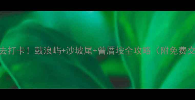 图片 🌟厦门一日游必去打卡！鼓浪屿+沙坡尾+曾厝垵全攻略（附免费交通+美食推荐）1