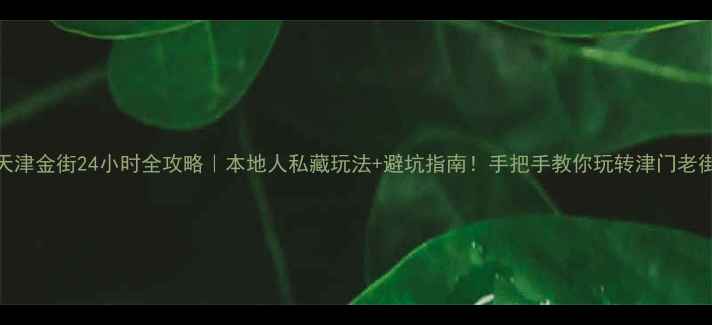 图片 🌟天津金街24小时全攻略｜本地人私藏玩法+避坑指南！手把手教你玩转津门老街🔥