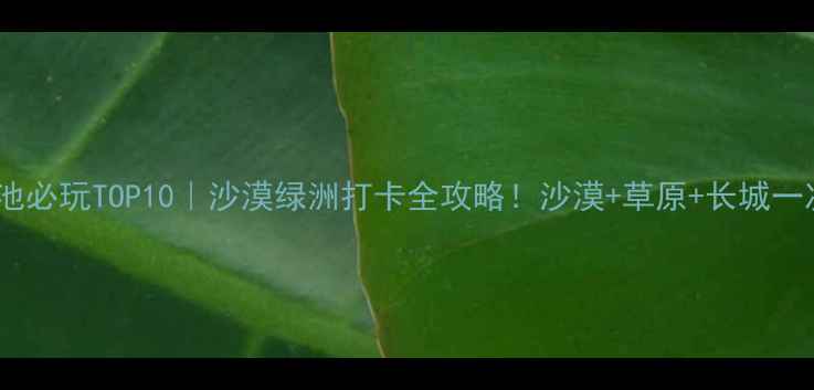 图片 🌟宁夏盐池必玩TOP10｜沙漠绿洲打卡全攻略！沙漠+草原+长城一次玩够✨1