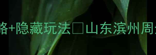 图片 🌟滨州周边游天花板！3天2夜自驾攻略+隐藏玩法🚗山东滨州周边游全攻略（附交通美食避坑指南）2