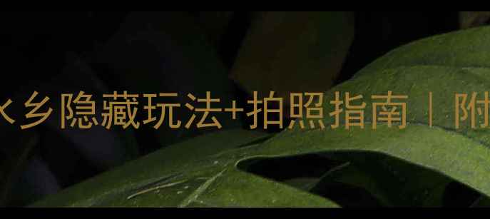 图片 🌟荷兰羊角村攻略｜小众水乡隐藏玩法+拍照指南｜附交通住宿全攻略🚣♀️📸2