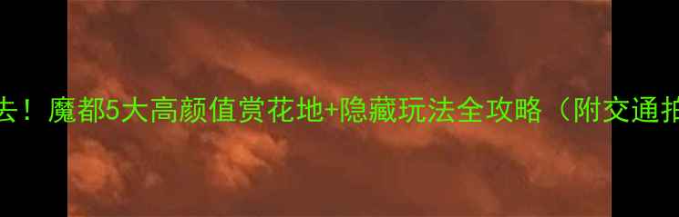 图片 🌸上海春天必去！魔都5大高颜值赏花地+隐藏玩法全攻略（附交通拍照美食地图）