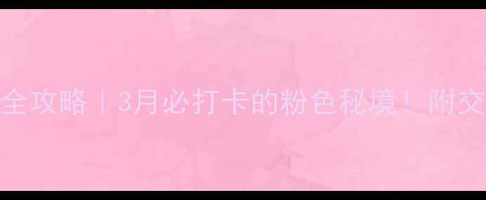 图片 🌸邹平樱花山风景区门票全攻略｜3月必打卡的粉色秘境！附交通+拍照点位+隐藏玩法🌸