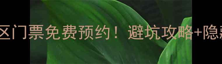 图片 🌿✨长兴城山沟景区门票免费预约！避坑攻略+隐藏玩法全公开✨🌿2