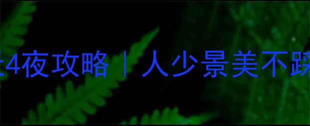 图片 🎉国庆上海必玩5天4夜攻略｜人少景美不踩雷的保姆级路线📍