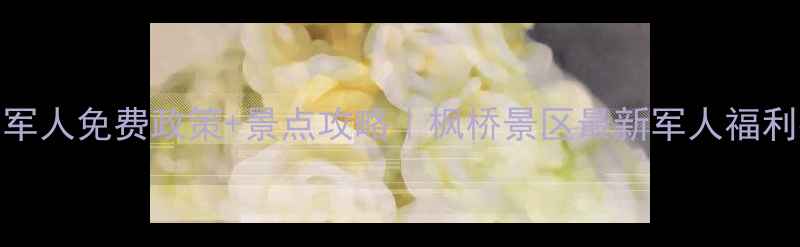 图片 🏃♂️军人免费政策+景点攻略｜枫桥景区最新军人福利指南🎫