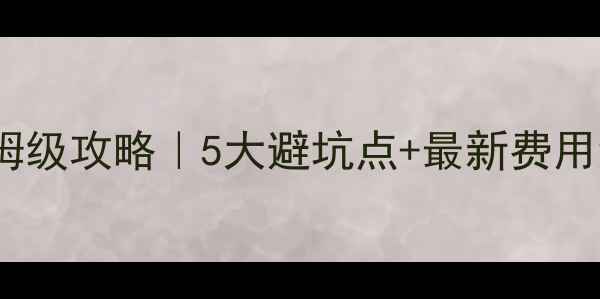 图片 🔥日本自由行签证保姆级攻略｜5大避坑点+最新费用清单（附材料清单）1