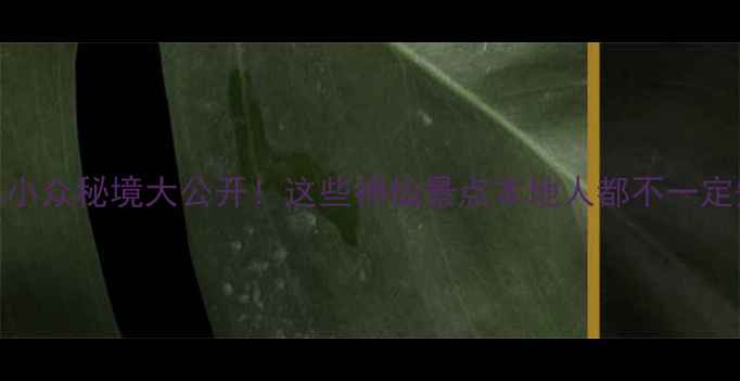 图片 🔥陵水小众秘境大公开！这些神仙景点本地人都不一定知道！