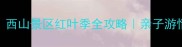 北京人私藏的宝藏地西山景区红叶季全攻略亲子游情侣约会徒步露营必看