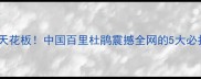 贵州避暑天花板中国百里杜鹃震撼全网的5大必打卡理由