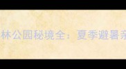 陕西十大必去森林公园秘境全夏季避暑亲子游自驾攻略