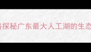河源万绿湖必游景点全攻略探秘广东最大人工湖的生态秘境附交通门票美食