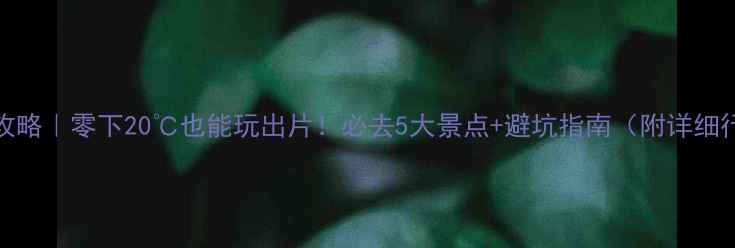 图片 12月北海道攻略｜零下20℃也能玩出片！必去5大景点+避坑指南（附详细行程）❄️📸
