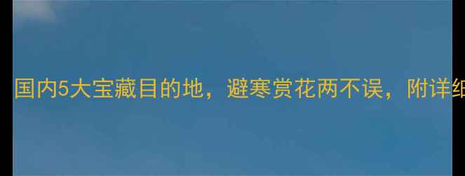 图片 2月必去！国内5大宝藏目的地，避寒赏花两不误，附详细攻略！1