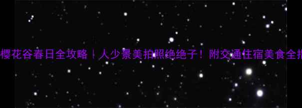 图片 ✨湖北樱花谷春日全攻略｜人少景美拍照绝绝子！附交通住宿美食全指南📸2
