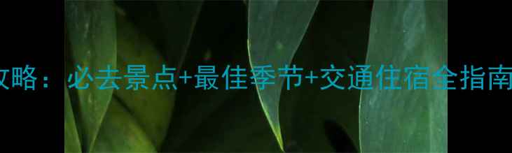 图片 万峰林景区旅游攻略：必去景点+最佳季节+交通住宿全指南（附门票价格）1