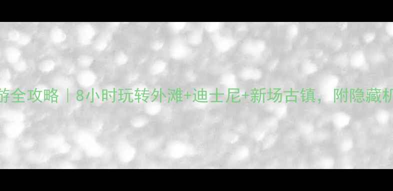 图片 上海一日自驾游全攻略｜8小时玩转外滩+迪士尼+新场古镇，附隐藏机位+美食地图2