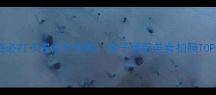 图片 上海必打卡景点全攻略：亲子情侣美食拍照TOP501