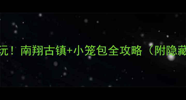 图片 上海必玩！南翔古镇+小笼包全攻略（附隐藏玩法）