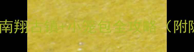 图片 上海必玩！南翔古镇+小笼包全攻略（附隐藏玩法）1
