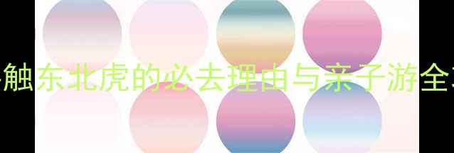 图片 东北虎林园深度游攻略：零距离接触东北虎的必去理由与亲子游全攻略（附门票+交通+最佳拍摄点）