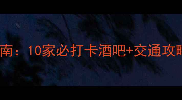 图片 临安夜生活指南：10家必打卡酒吧+交通攻略与隐藏玩法2