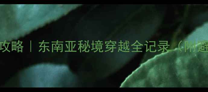 图片 保姆级昆曼公路自驾攻略｜东南亚秘境穿越全记录（附避坑指南+沿途秘境）1