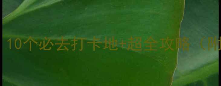 图片 南京大学周边游｜10个必去打卡地+超全攻略（附交通拍照点）📸2