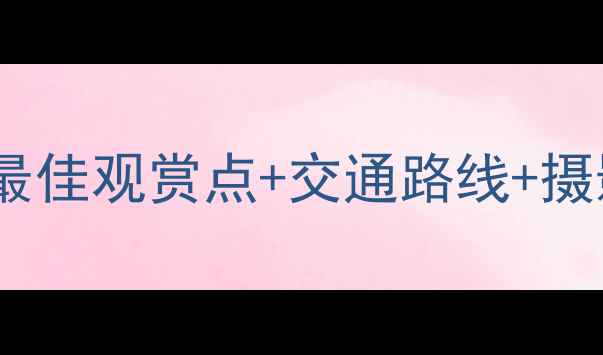 图片 南京紫金山日出全攻略：最佳观赏点+交通路线+摄影参数，私藏路线曝光！2