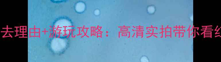 图片 南沙湿地公园必去理由+游玩攻略：高清实拍带你看红树林生态秘境1