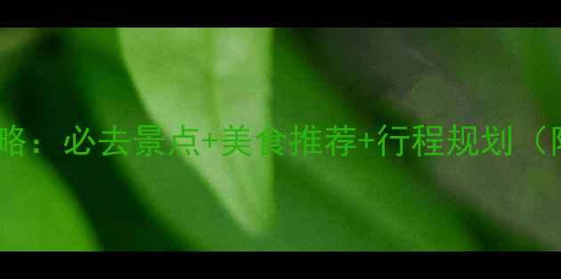 图片 厦门英语旅游全攻略：必去景点+美食推荐+行程规划（附实用英语对话）2