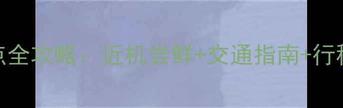 图片 厦门高崎机场周边必去景点全攻略：近机尝鲜+交通指南+行程规划（附实时交通信息）
