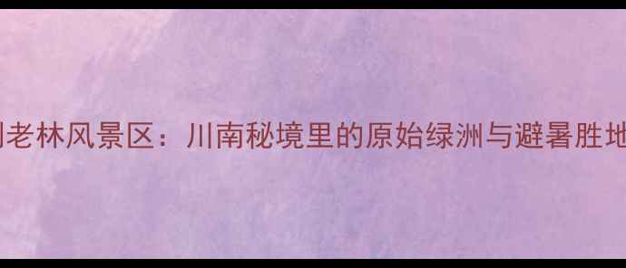 图片 古蔺黄荆老林风景区：川南秘境里的原始绿洲与避暑胜地全攻略1
