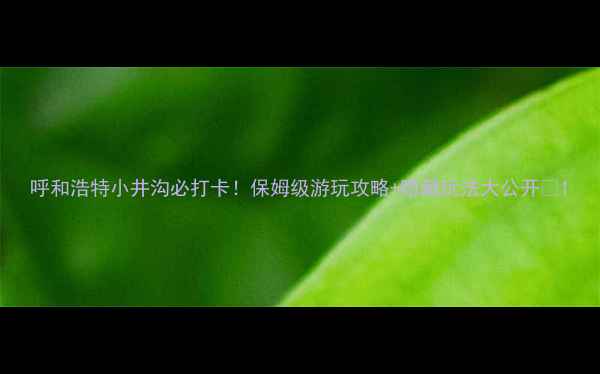 图片 呼和浩特小井沟必打卡！保姆级游玩攻略+隐藏玩法大公开🔥1