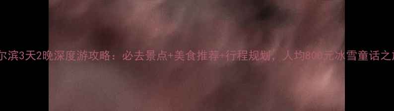 图片 哈尔滨3天2晚深度游攻略：必去景点+美食推荐+行程规划，人均800元冰雪童话之旅1
