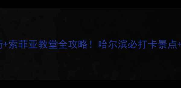 图片 哈尔滨冰雪大世界+中央大街+索菲亚教堂全攻略！哈尔滨必打卡景点+美食+交通住宿保姆级指南1