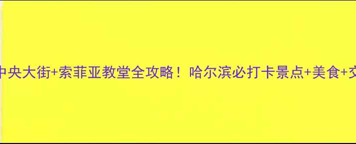 图片 哈尔滨冰雪大世界+中央大街+索菲亚教堂全攻略！哈尔滨必打卡景点+美食+交通住宿保姆级指南2