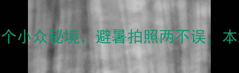 图片 嘉兴周边游天花板！这5个小众秘境，避暑拍照两不误，本地人私藏攻略大公开！2