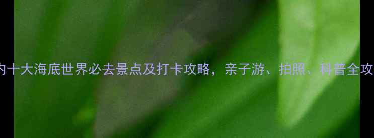 图片 国内十大海底世界必去景点及打卡攻略，亲子游、拍照、科普全攻略1