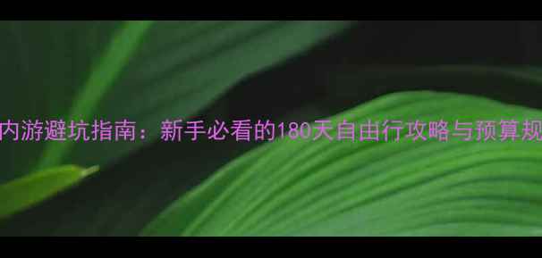 图片 国内游避坑指南：新手必看的180天自由行攻略与预算规划